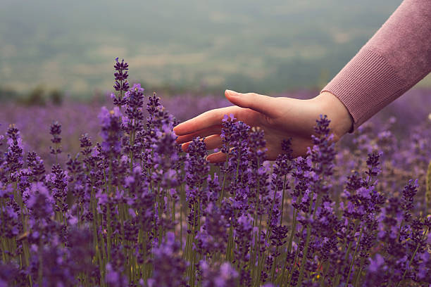 Beruhigendes Face Oil mit Amethyst, leichtes Gesichtsöl für empfindliche Haut, reduziert Spannungsgefühle und unterstützt die Regeneration, hochwertige Hautpflege von Sistas Care für ruhige und ausgeglichene Haut. Logo Sistas Care powered by Skincare Solutions